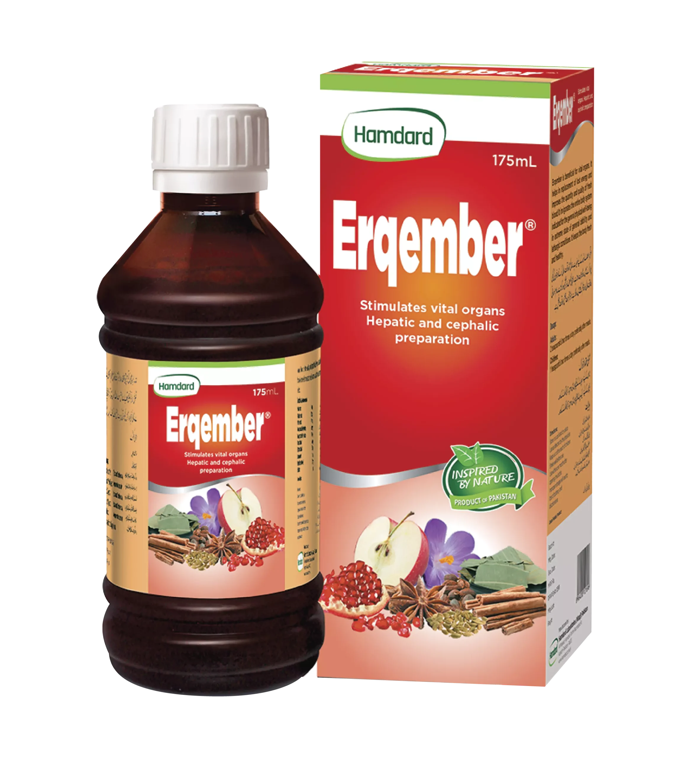 erqember-01_1 erqember-01_1